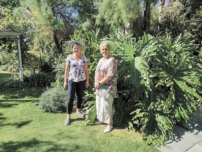 Sophie Thomson strolls through Camelot Garden post image