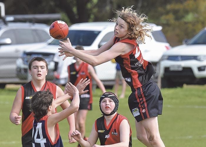 YPFL Junior Colts: Demons rise up for finals challenge post image