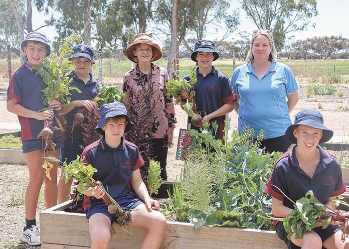 Community garden open for visitors post image