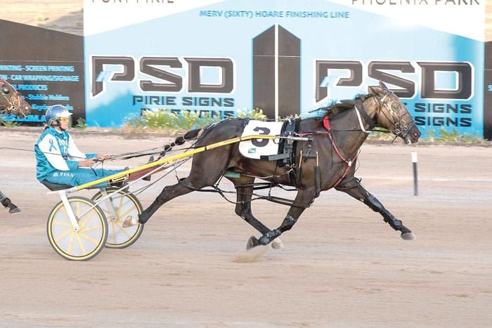 YP Harness Racing Club news post image
