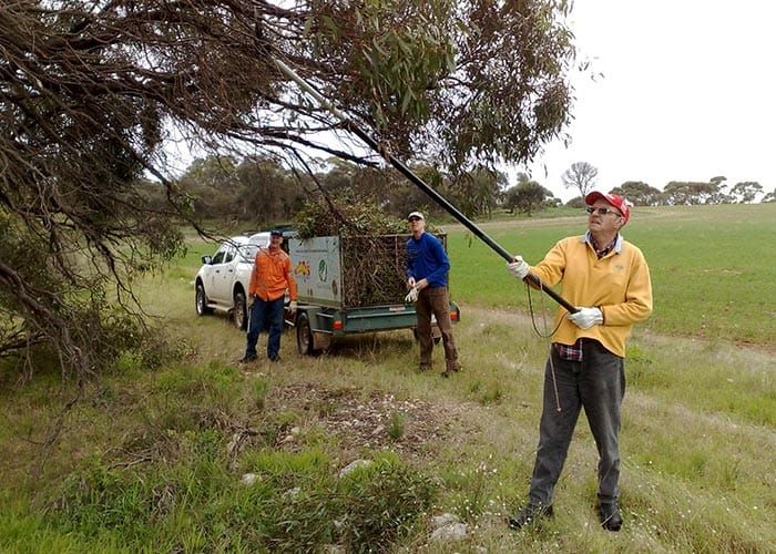 Yorke Peninsula’s coastline set to be reinvigorated post image