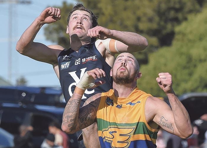 YPFL A grade: Cougars grit teeth for impressive win post image