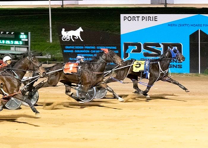 Port Pirie harness racing post image