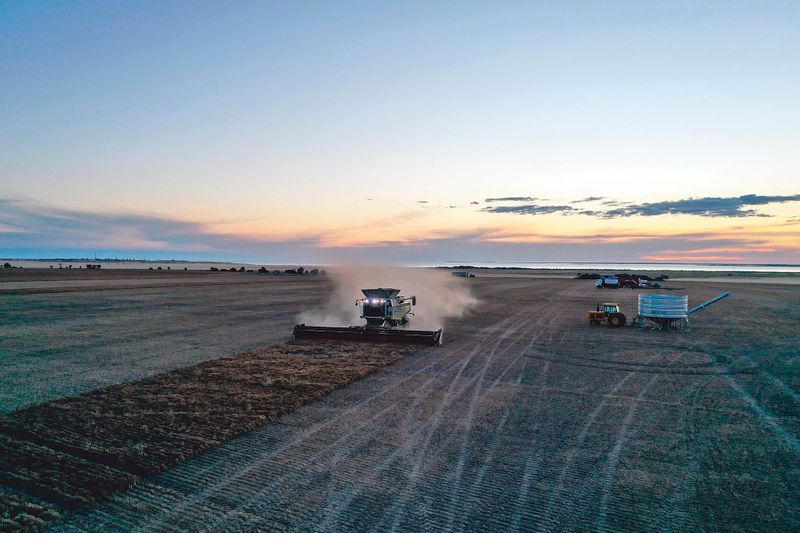 Harvesting on the peninsula post image