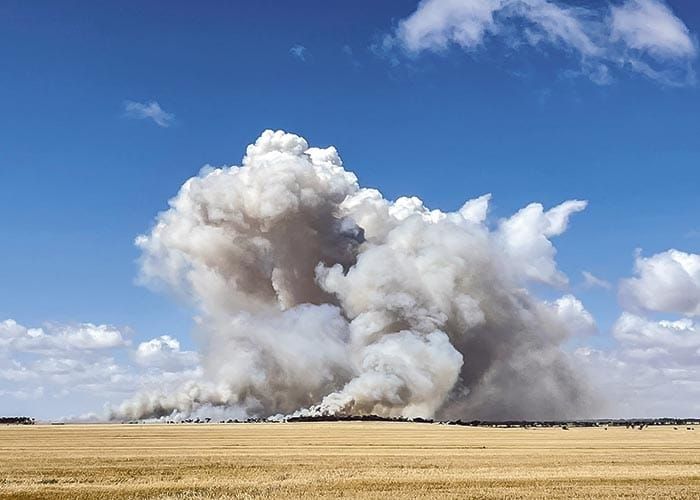 Fire wipes out lentils, wheat post image