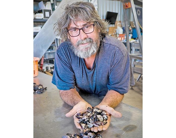 Shuck it up: No answers yet for oyster growers post image