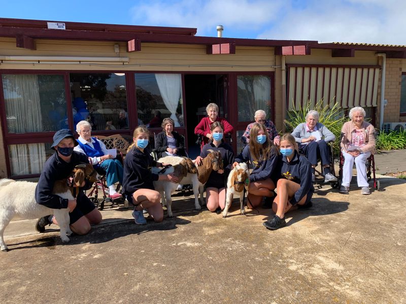Show goes on for KMS goats post image