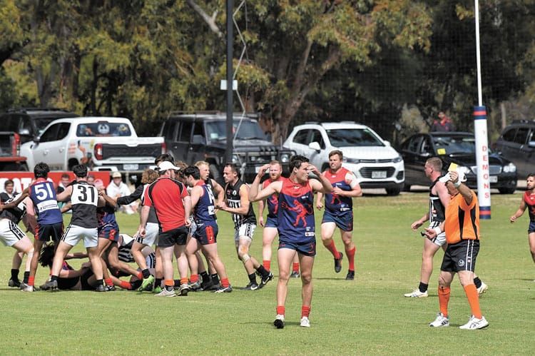 YPFL B grade preliminary final - Magpies no match as Demons stroll through post image