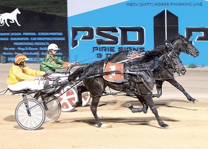 YP Harness Racing Club news post image