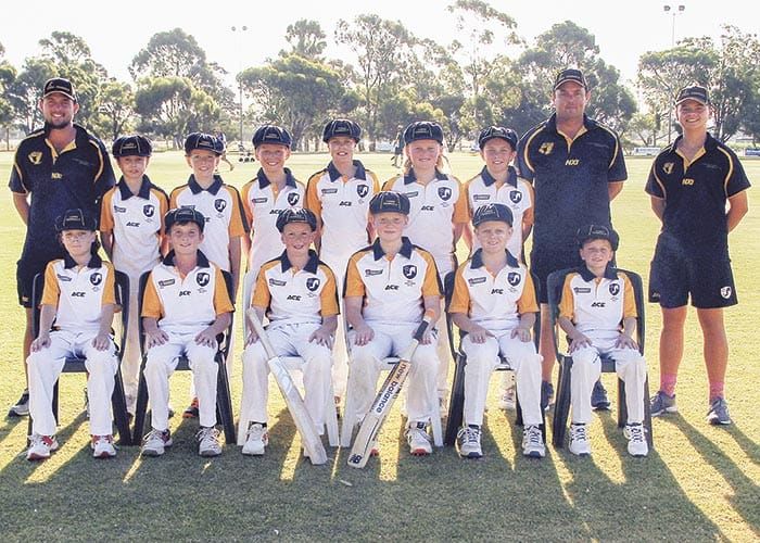 Learning experience for under 12s post image