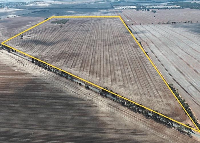 $4.75m paddock pays out post image