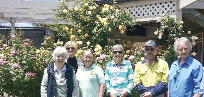 Roses in focus at Maitland post image