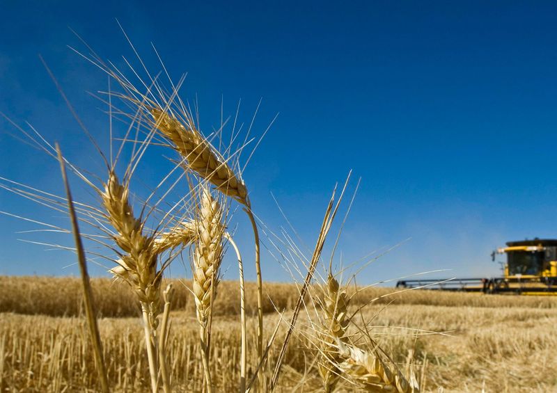 Food, wine and agribusiness to target $23 billion by 2030 post image