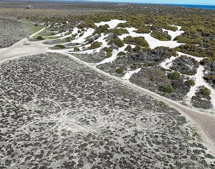 Cape Elizabeth ‘single biggest driving force’ post image