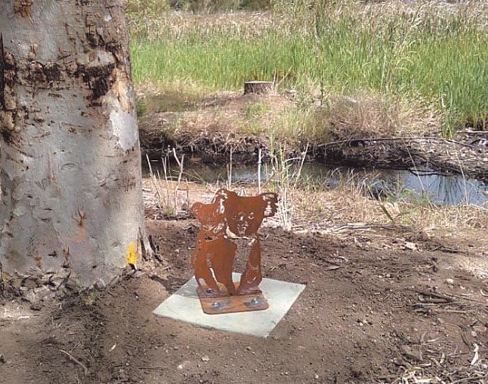 McCauley Park update post image