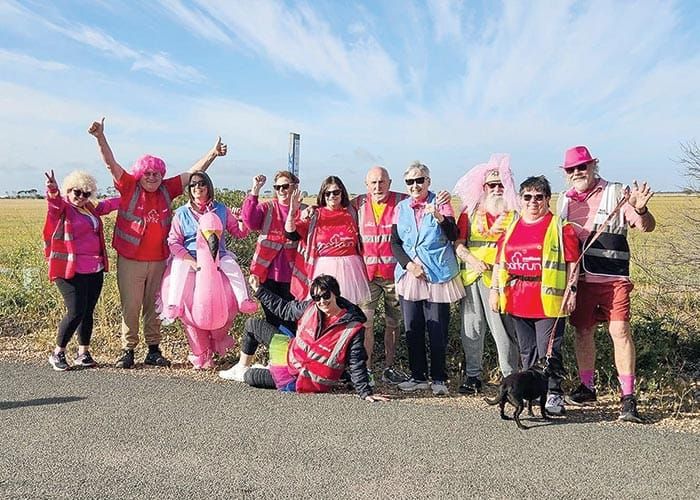 Perfect pink fundraiser post image