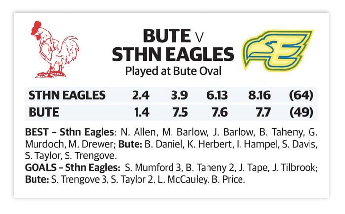 YPFL: Eagles take home the points post image