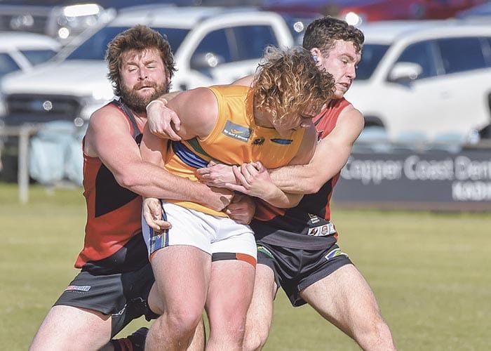Bloodhounds run out comfortable winners post image