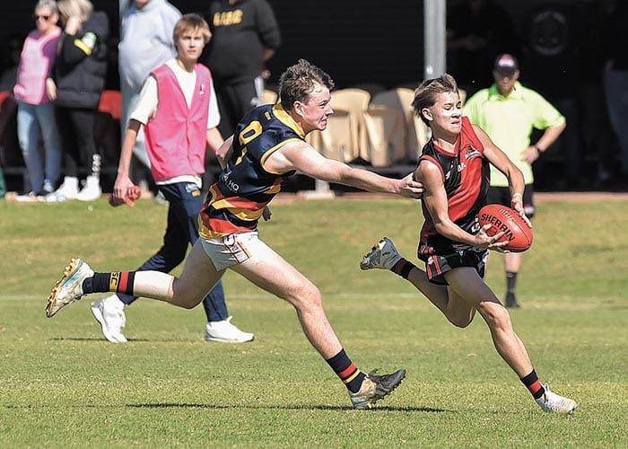 Dominant Crows bully Bloods post image