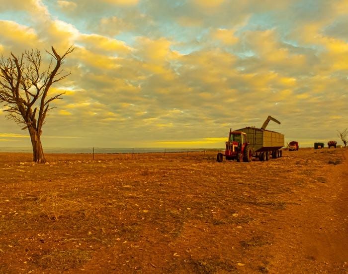 Push for council rate subsidies for farmers facing drought hardship post image