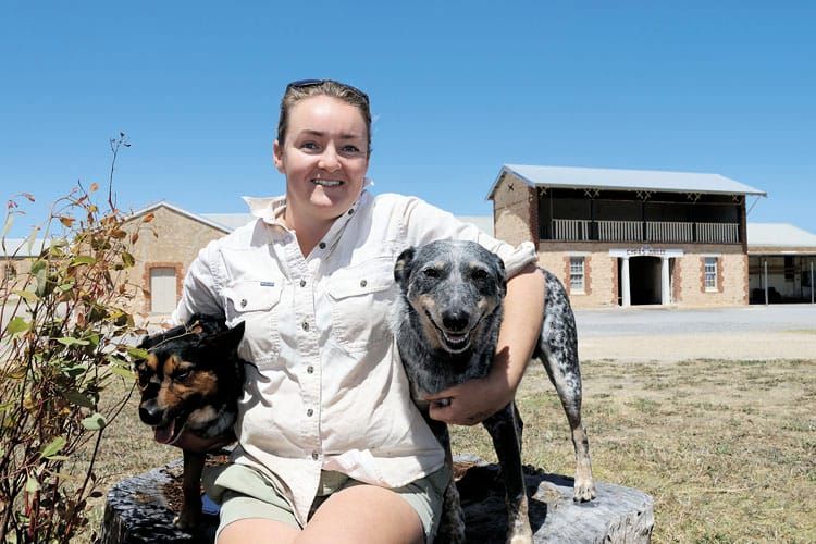 Showgrounds to receive makeover post image