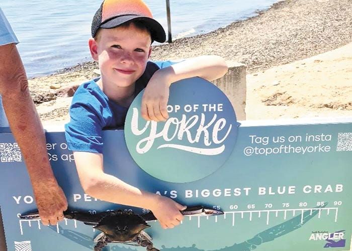 Crabbing competition catches a crowd post image