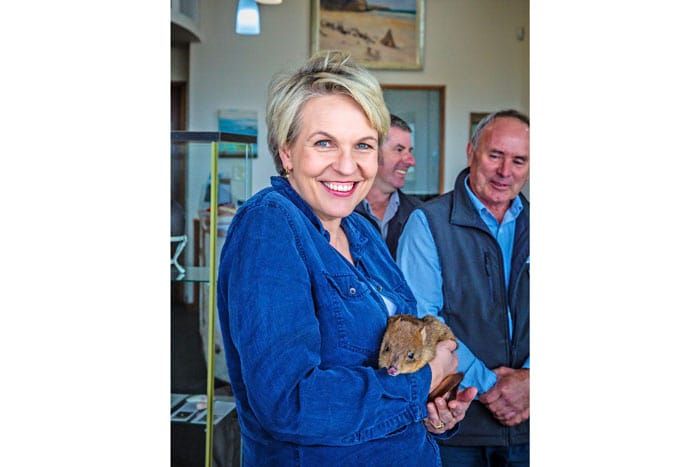 Petitioning Plibersek for Moonta World Heritage post image