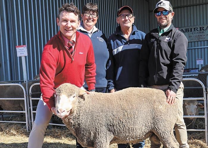 Dual purpose with breeding values at Babirra post image