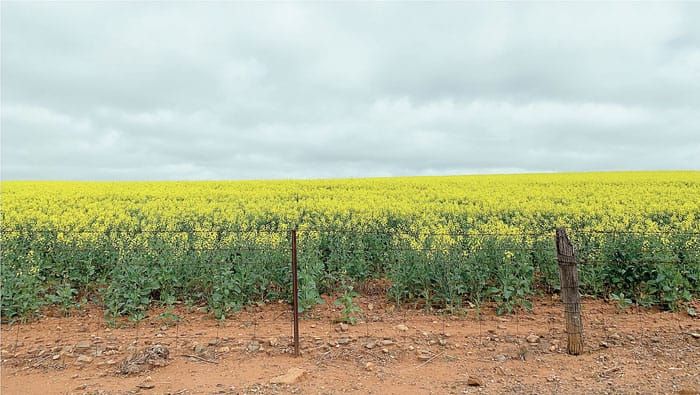Unlocking soil secrets for ag sector post image