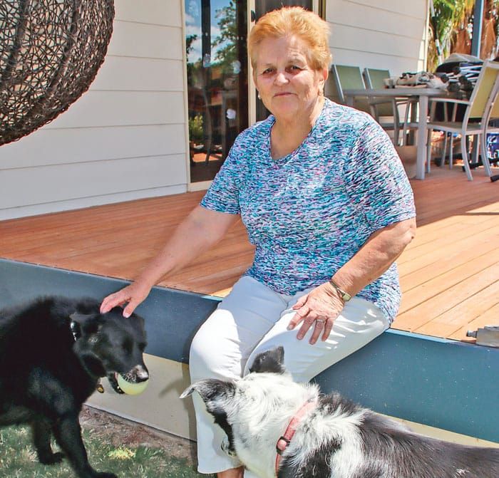 Feral cats caught in the crosshairs post image
