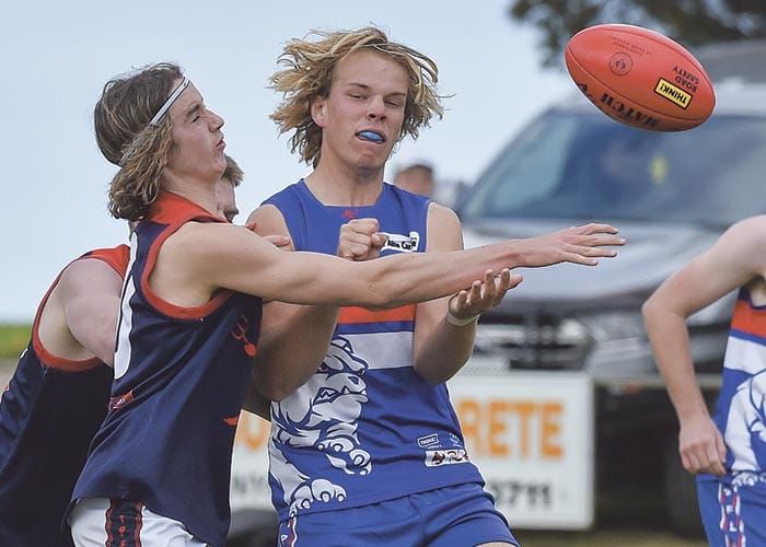 YPFL Senior Colts: Dogs dominate to defer Demons post image