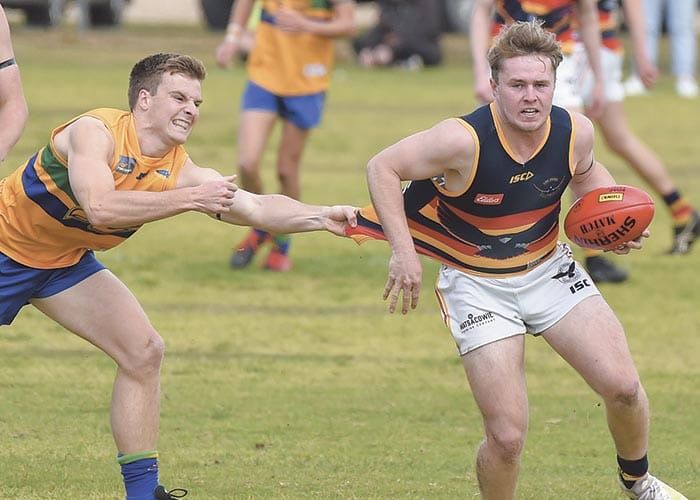YPFL B grade: Eagles emphatic in penultimate game post image