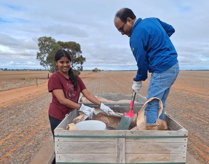 Trialling a dirt cheap fix for a $1.2 billion problem post image