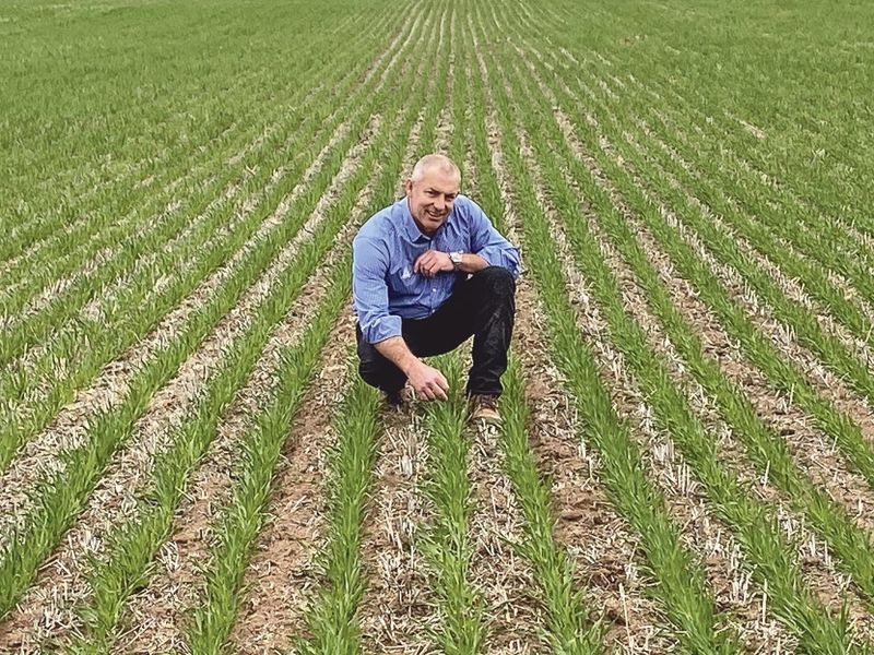 New fungicides answer wishes of growers post image