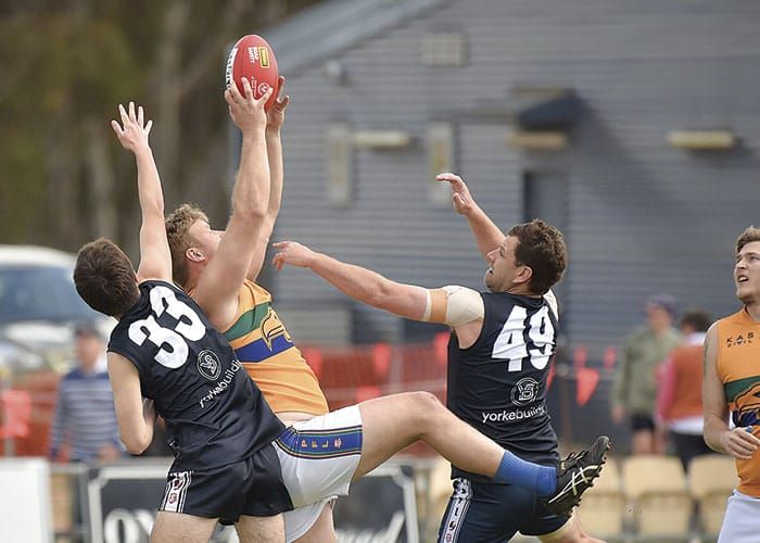 YPFL: Cougars find form ahead of finals post image