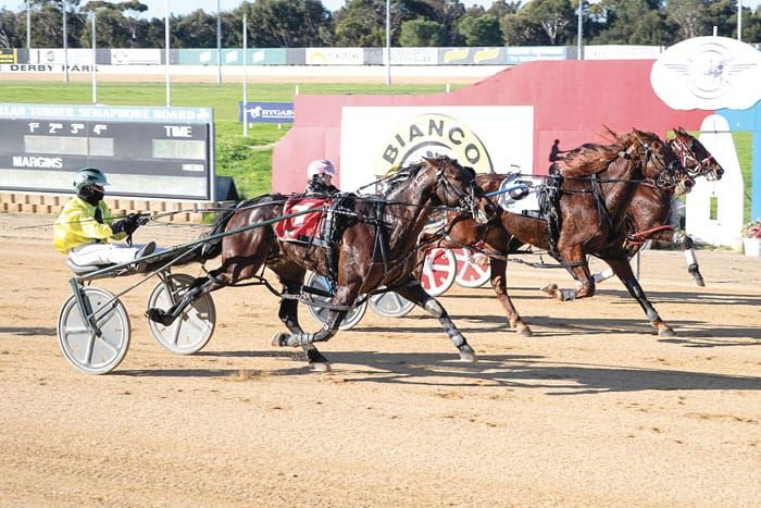YP harness racing news post image