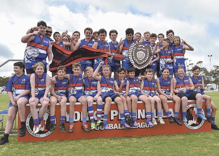 YPFL junior colts - Back-to-back Bulldog bliss post image