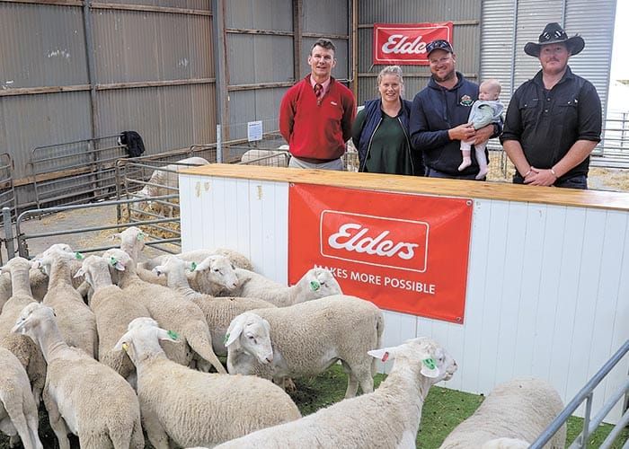 SheepMaster rams reach $16k top post image