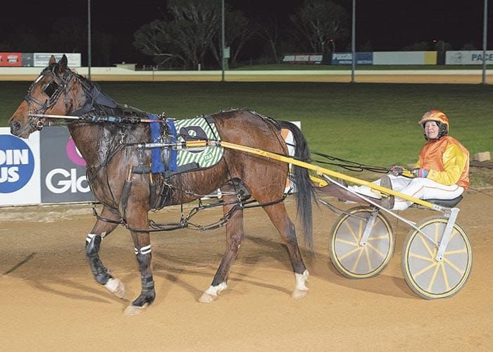 YP Harness Racing Club post image
