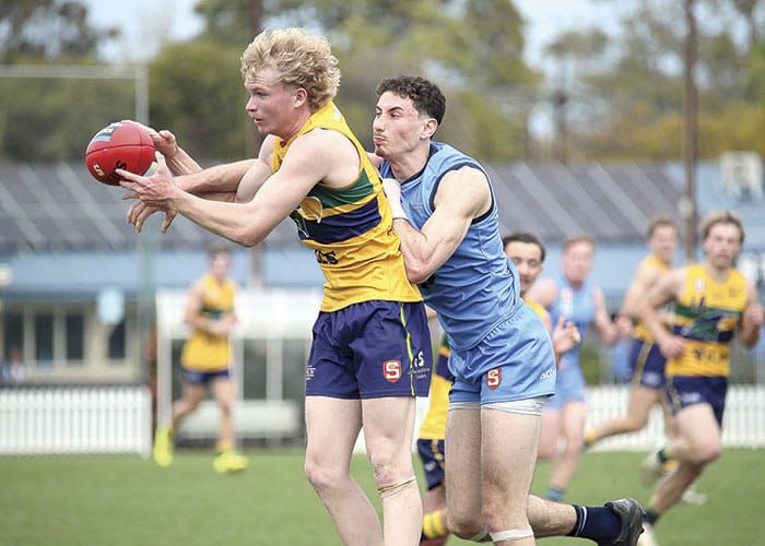 Mumford, Trengove stand out at Eagles junior awards post image