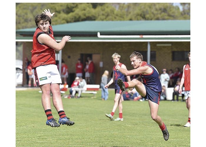 YPFL: Dees too good for Bloods post image