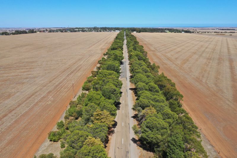 Road ratings withheld post image