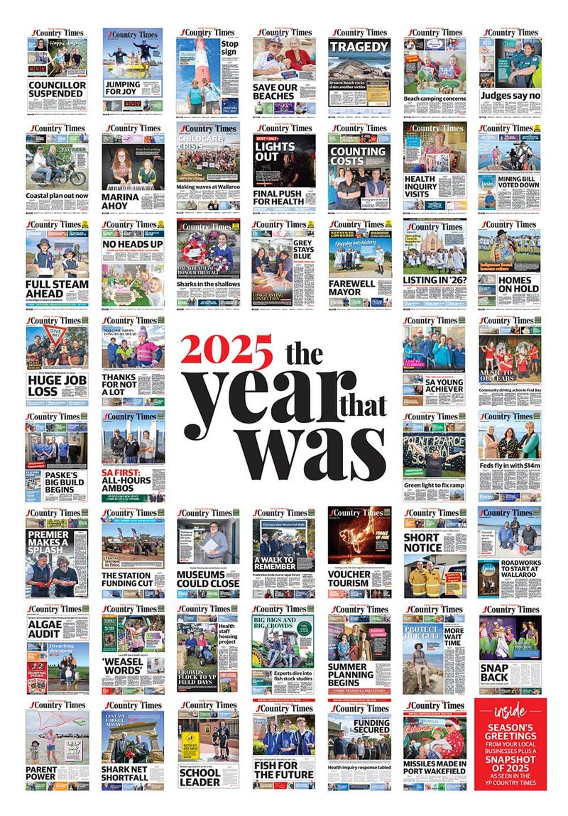 2025 The Year That Was post image