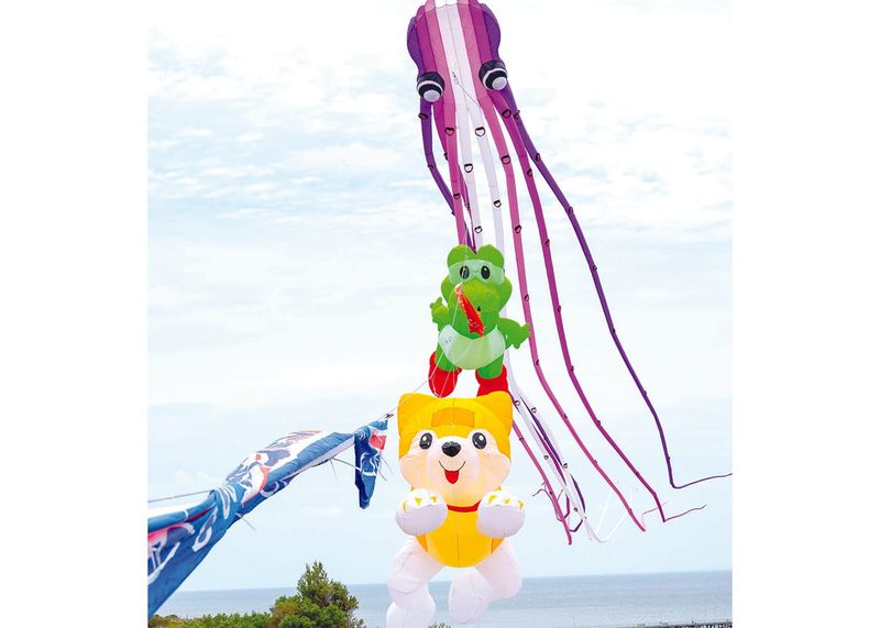 Kites fill Ardrossan skies for annual display post image