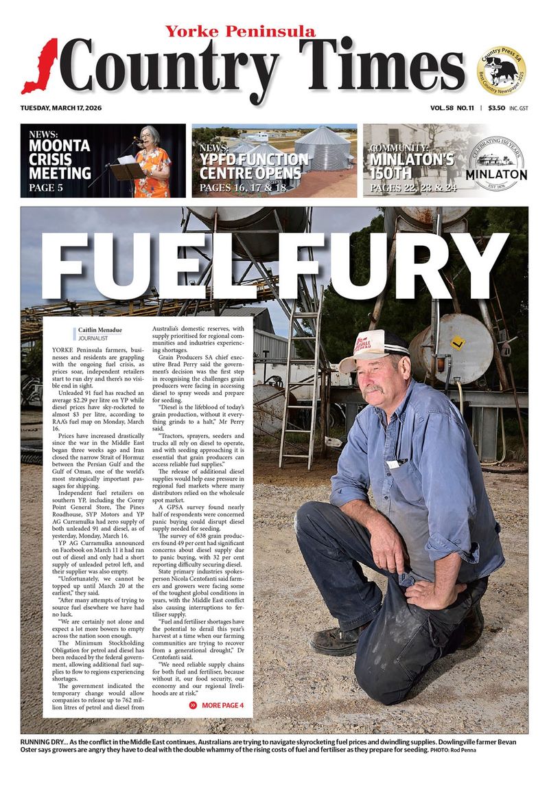 March 17, 2026 post image