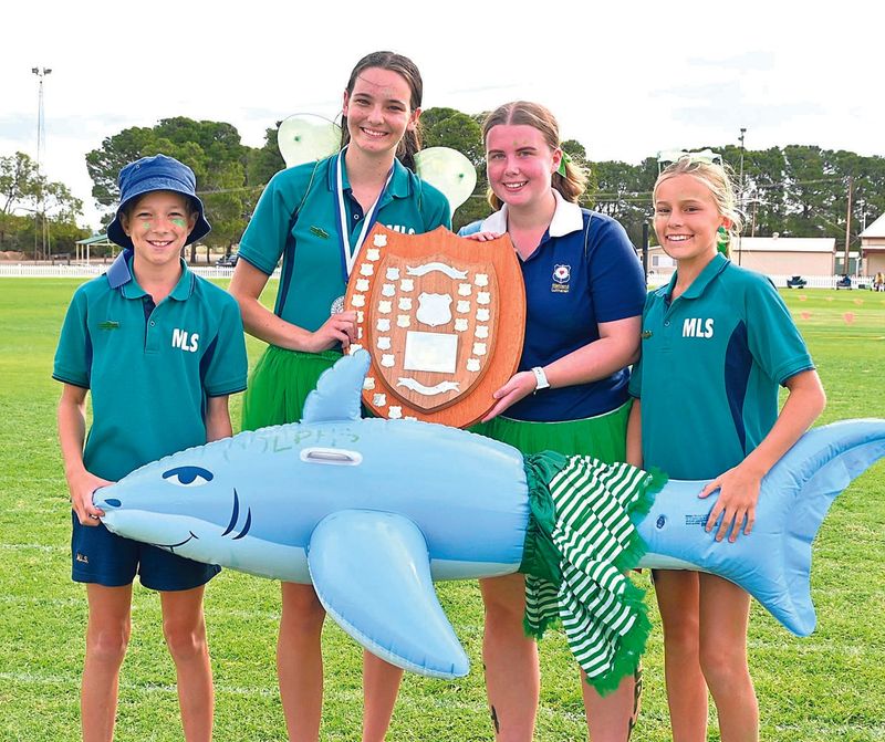 School sports days: YP students aim high post image