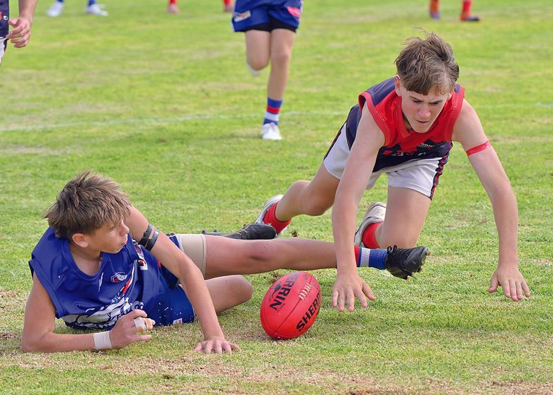 YPFL: Moonta too strong for improving Dogs post image