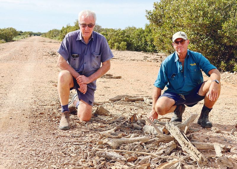 Concerns grow  over deteriorating  Price causeway post image