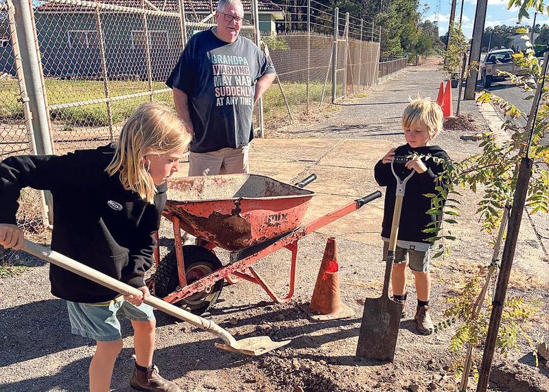 Greening Yorketown: community-driven street tree project takes root post image