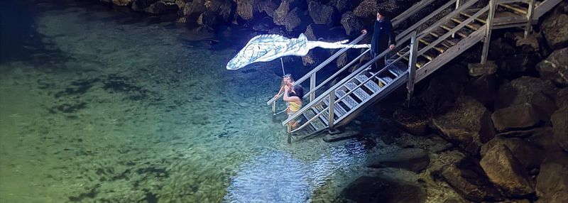 Sally the Stingray: grief, loss and hope on a coastline under siege post image